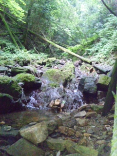 DVC00010.jpg