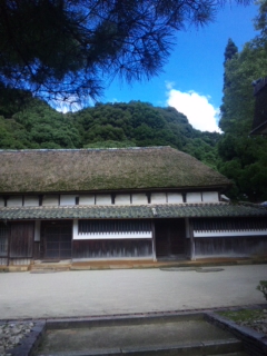 DVC00008.jpg